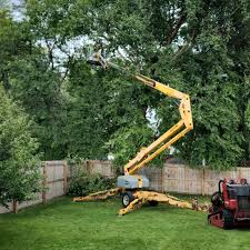 Best Sod Installation  in Greenwood, IN