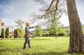 Best Tree Maintenance Programs  in Greenwood, IN